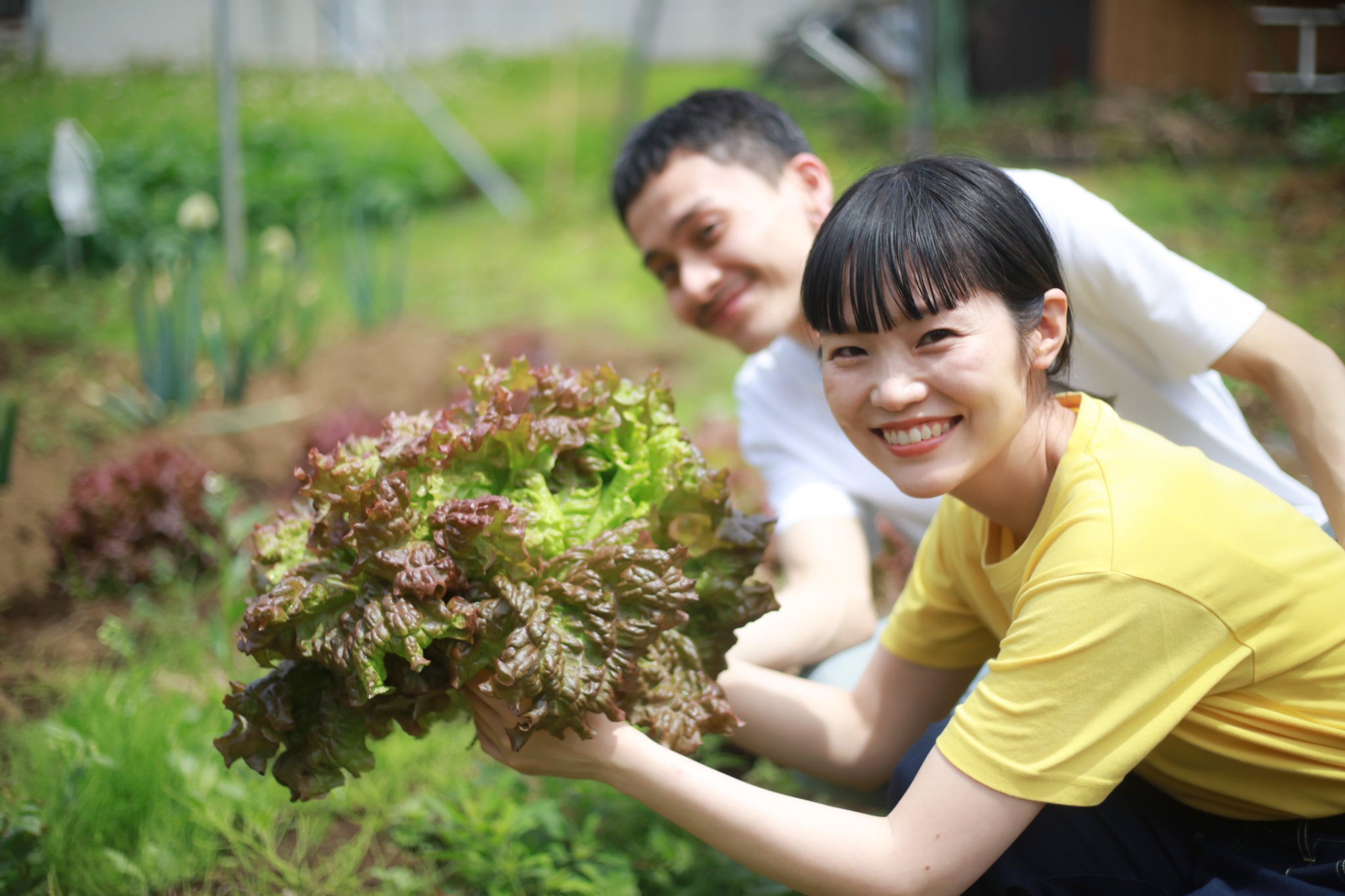 自然農イメージ